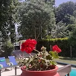 Garden & Pool - Alojamentos Celorico De Basto