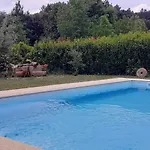 Casa de Férias Garden & Pool - Alojamentos Celorico De Basto