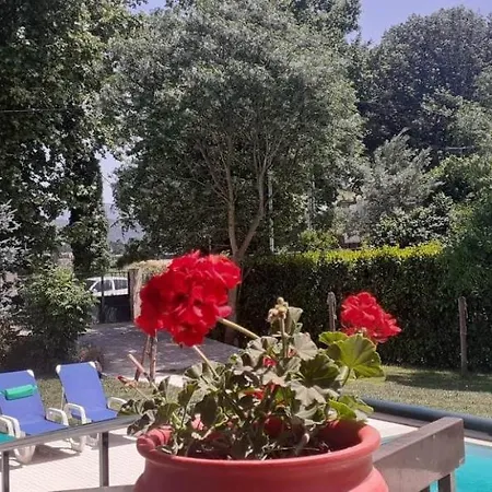 Garden & Pool - Alojamentos Celorico De Basto
