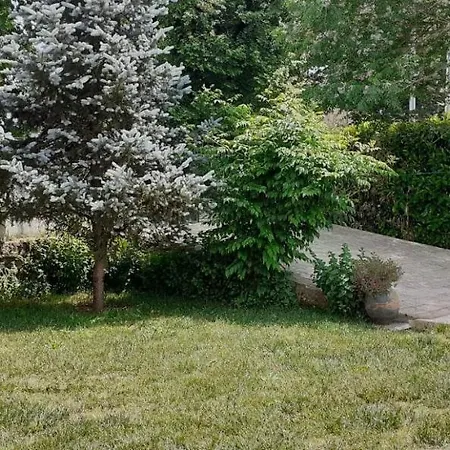 - Garden&pool