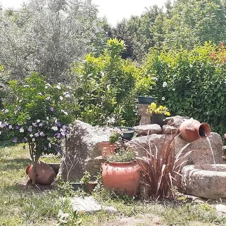 Garden & Pool - Alojamentos Prázdninový dům Celorico De Basto
