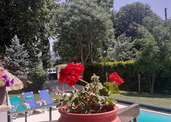 Garden & Pool - Alojamentos Celorico De Basto