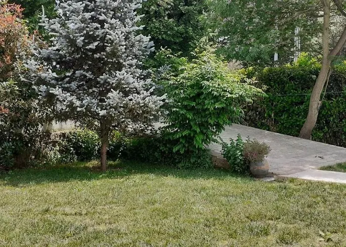 Garden & Pool - Alojamentos