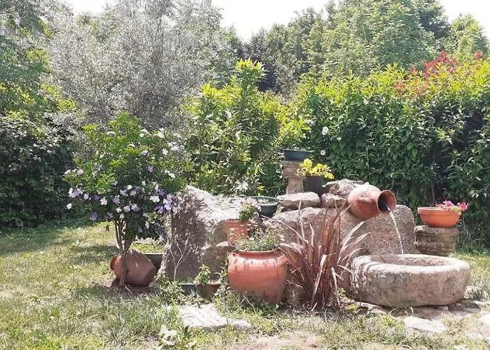 Garden & Pool - Alojamentos Ferienhaus Celorico De Basto